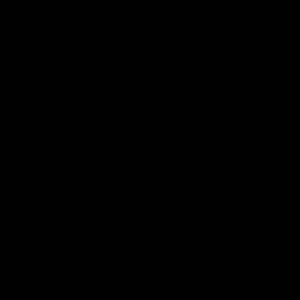 Meet your Posher, Abbey